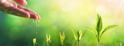 plant-growth